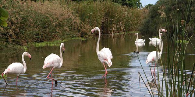 Casela nature park mauritius (3)